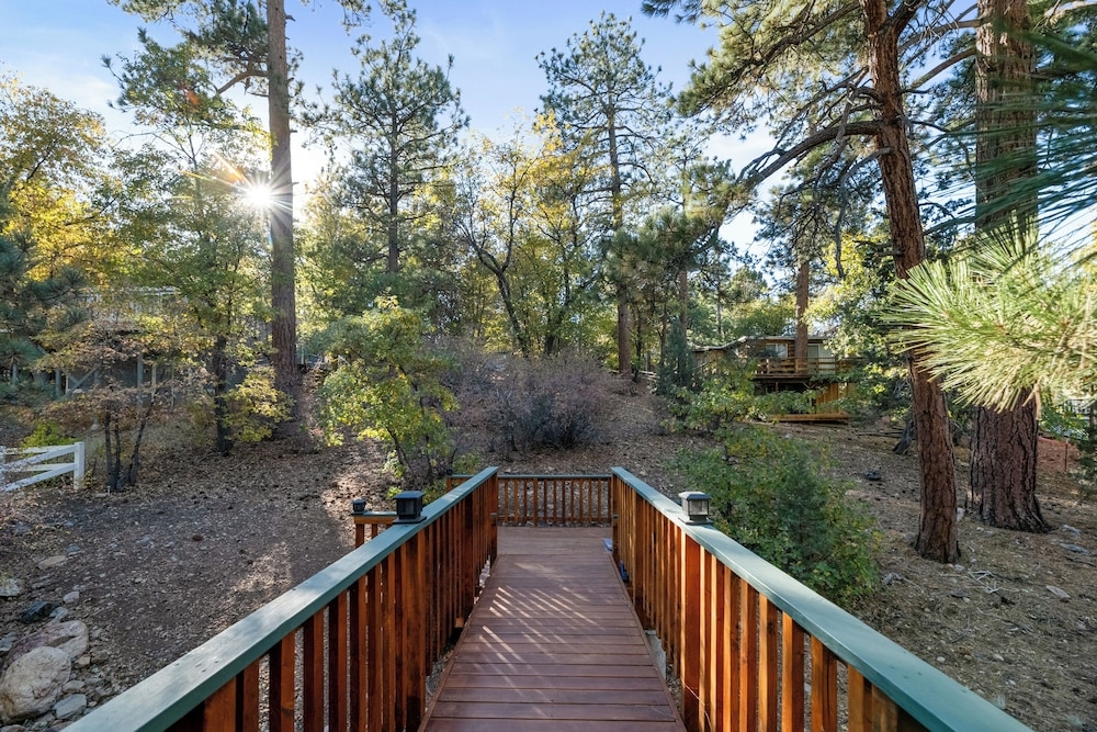 テラス / パティオ