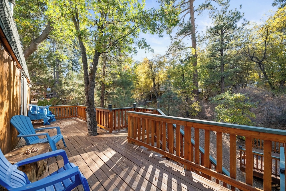 テラス / パティオ