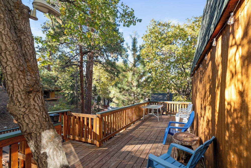 テラス / パティオ