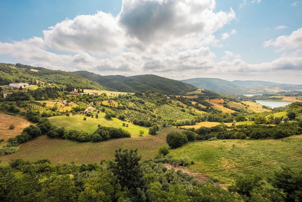 施設からの眺望
