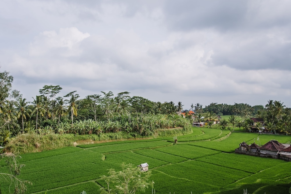 施設からの眺望