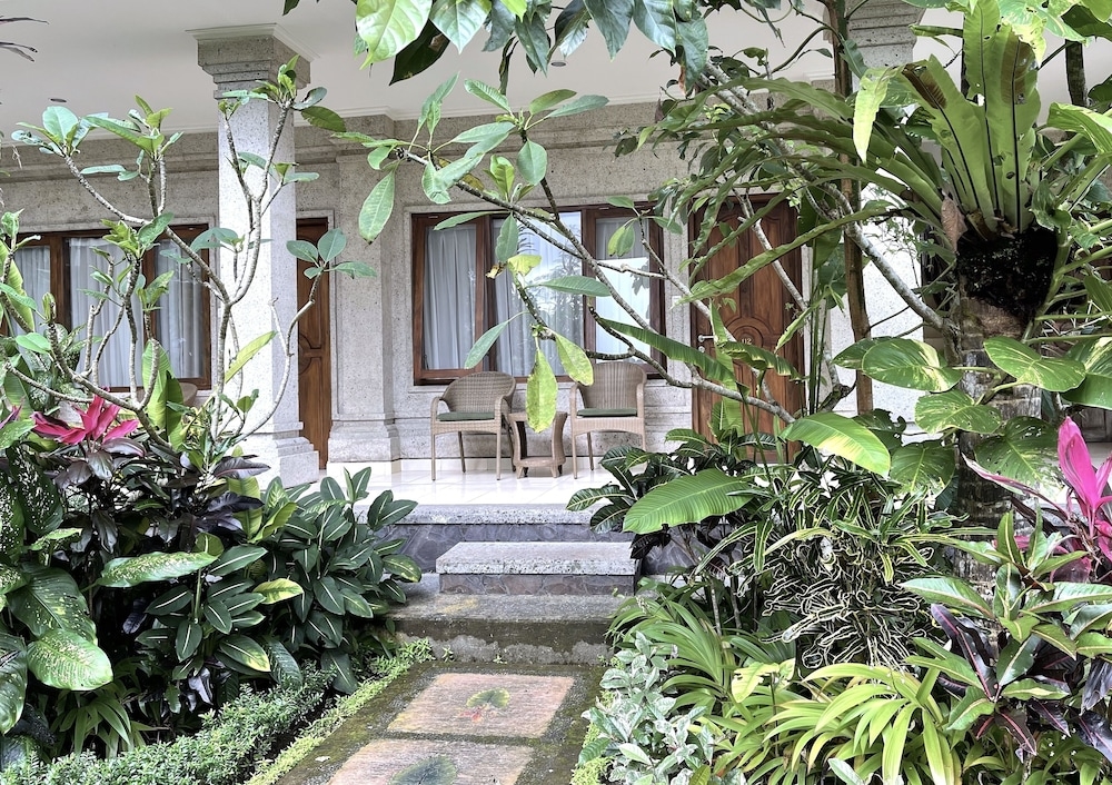 テラス / パティオ