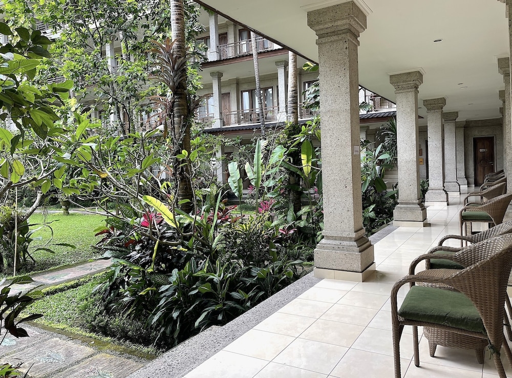 テラス / パティオ