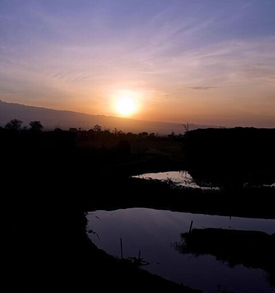 マウンテン ビュー