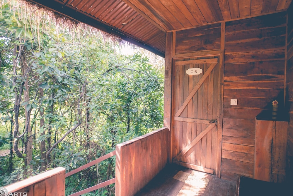 テラス / パティオ