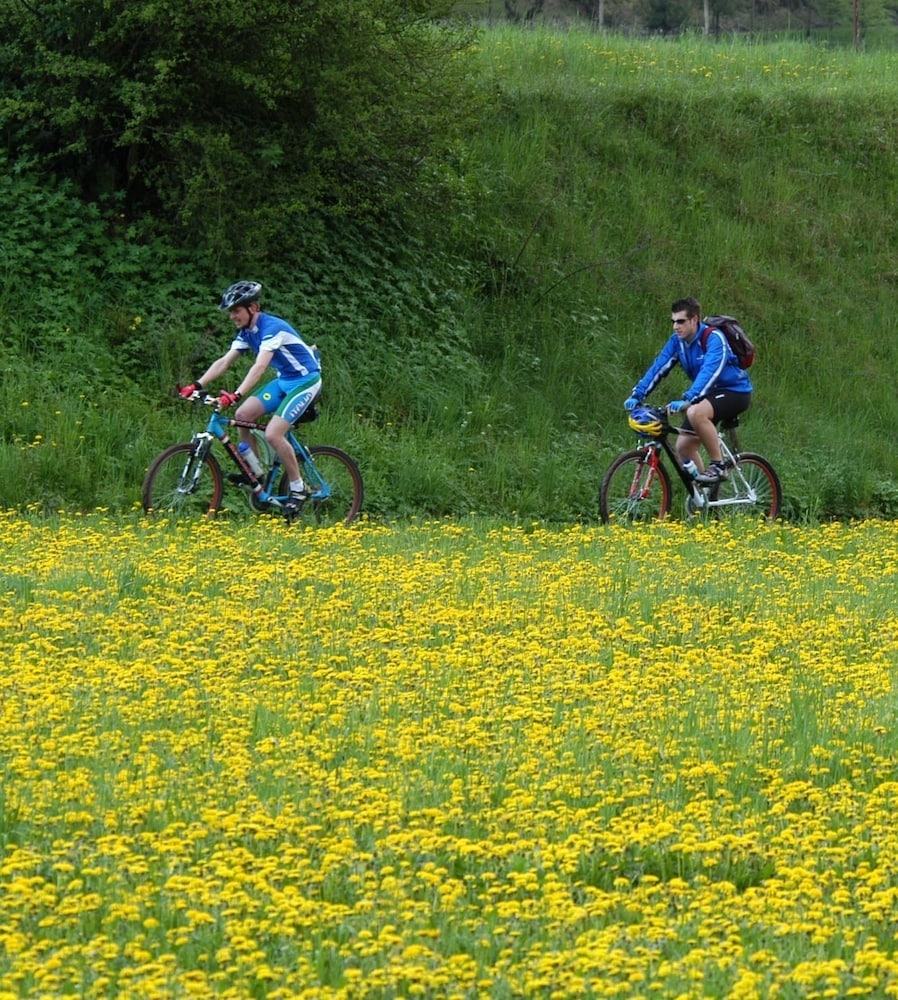 フィットネス スタジオ
