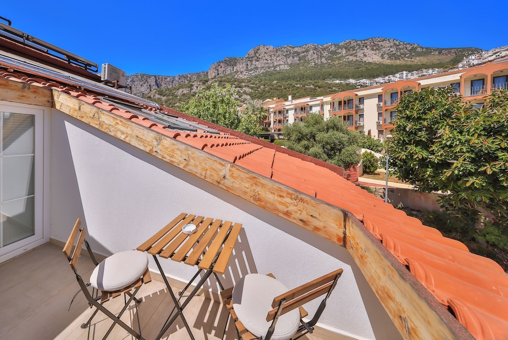 テラス / パティオ