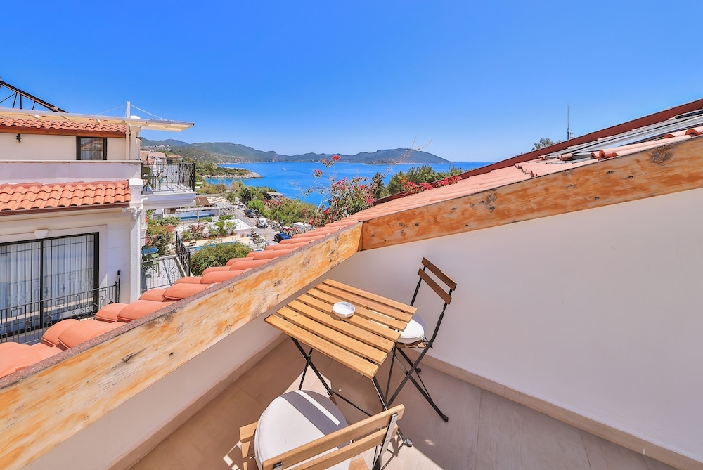 テラス / パティオ