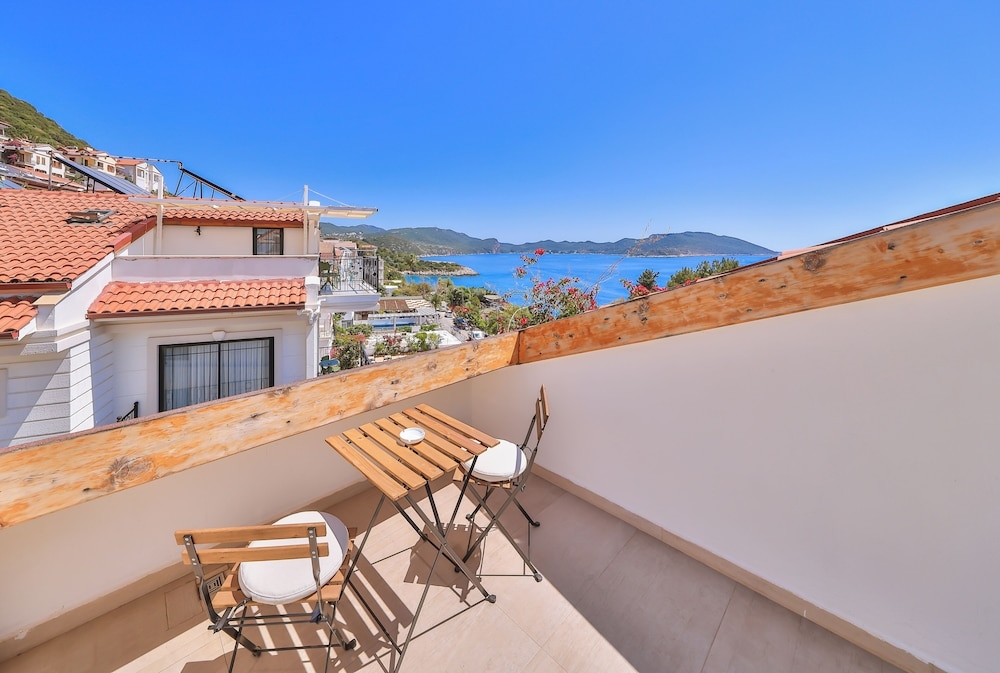 テラス / パティオ