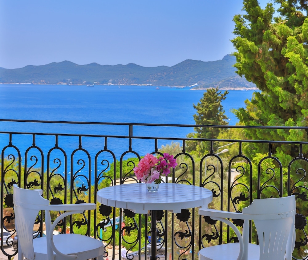 メイン イメージ