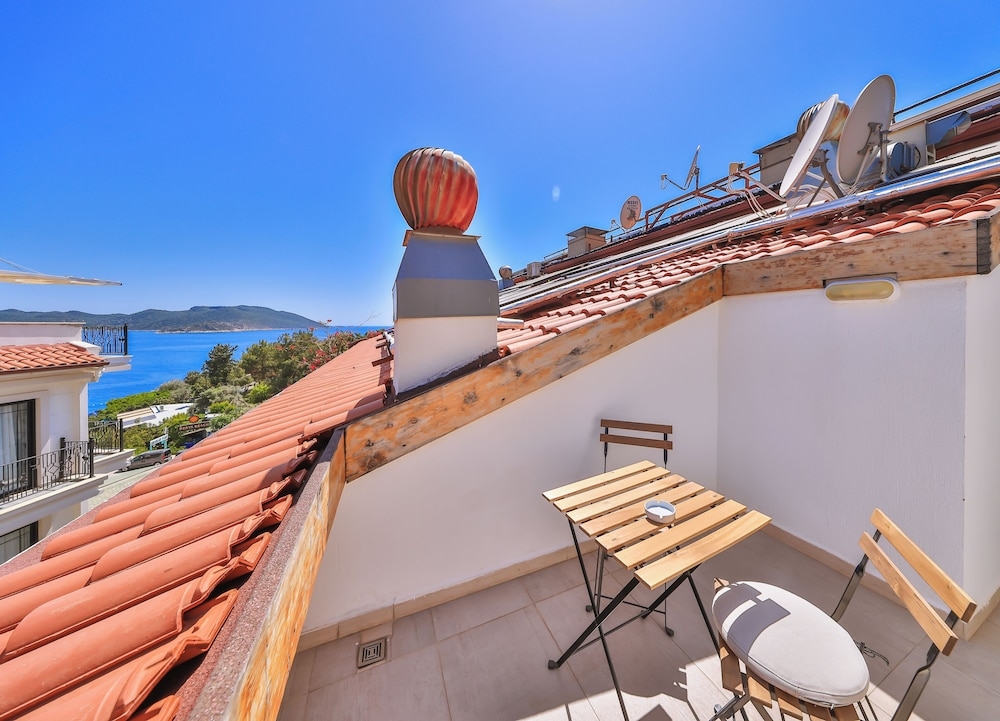 テラス / パティオ