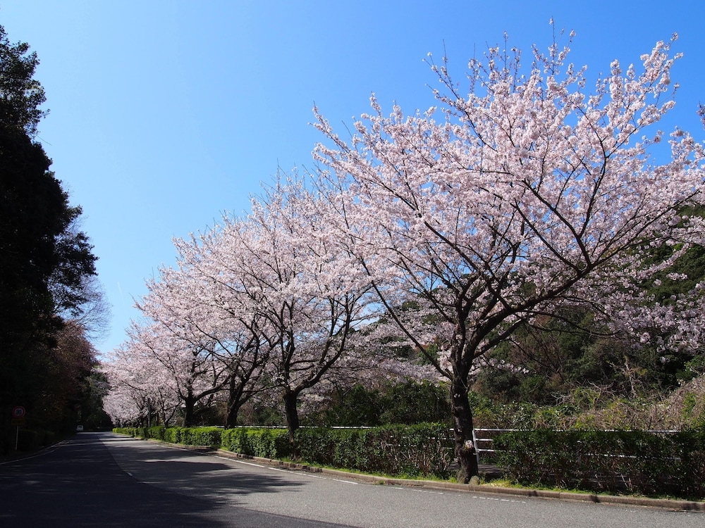 施設からの眺望