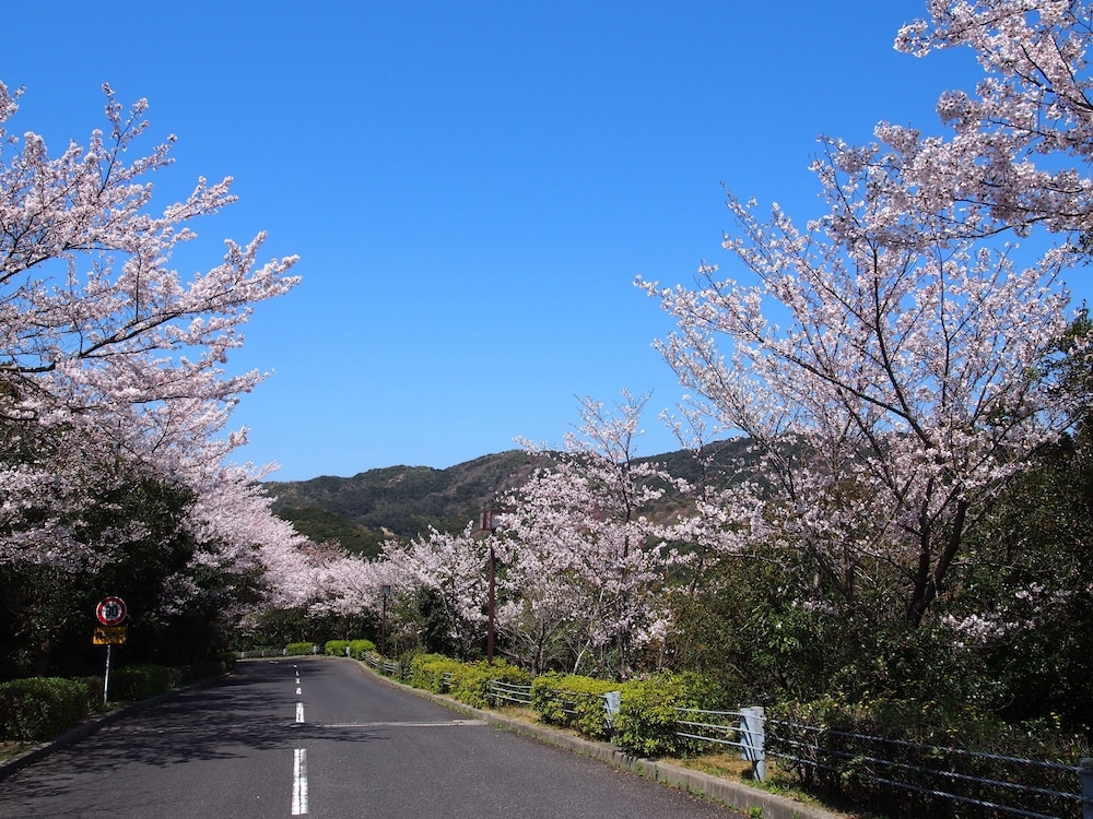 施設からの眺望