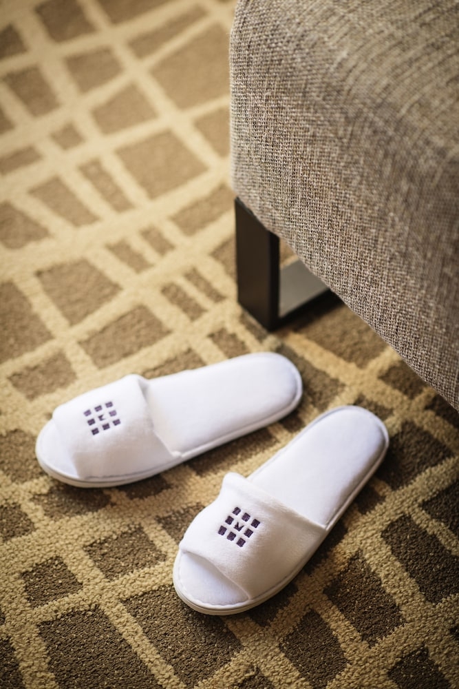 客室の設備とサービス