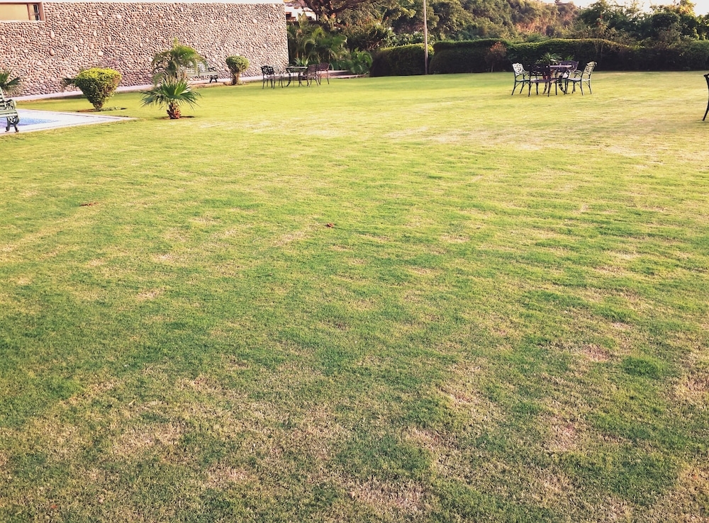子供用の遊び場 - 屋外