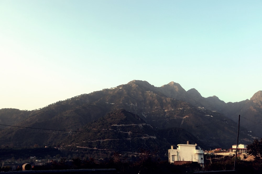 マウンテン ビュー