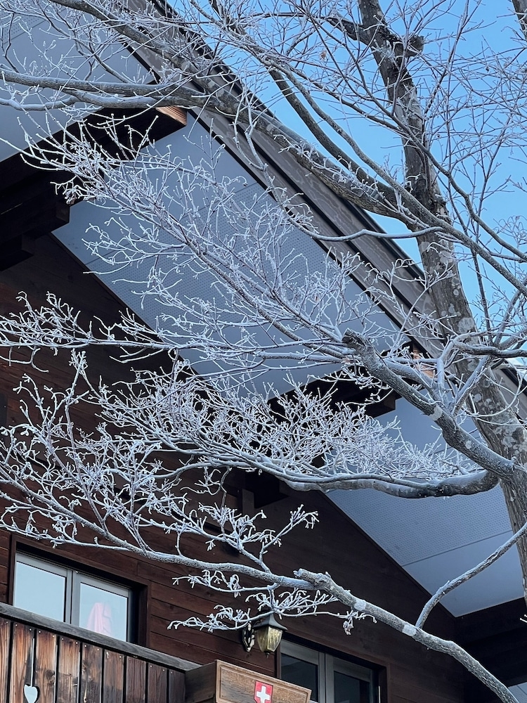 施設からの眺望