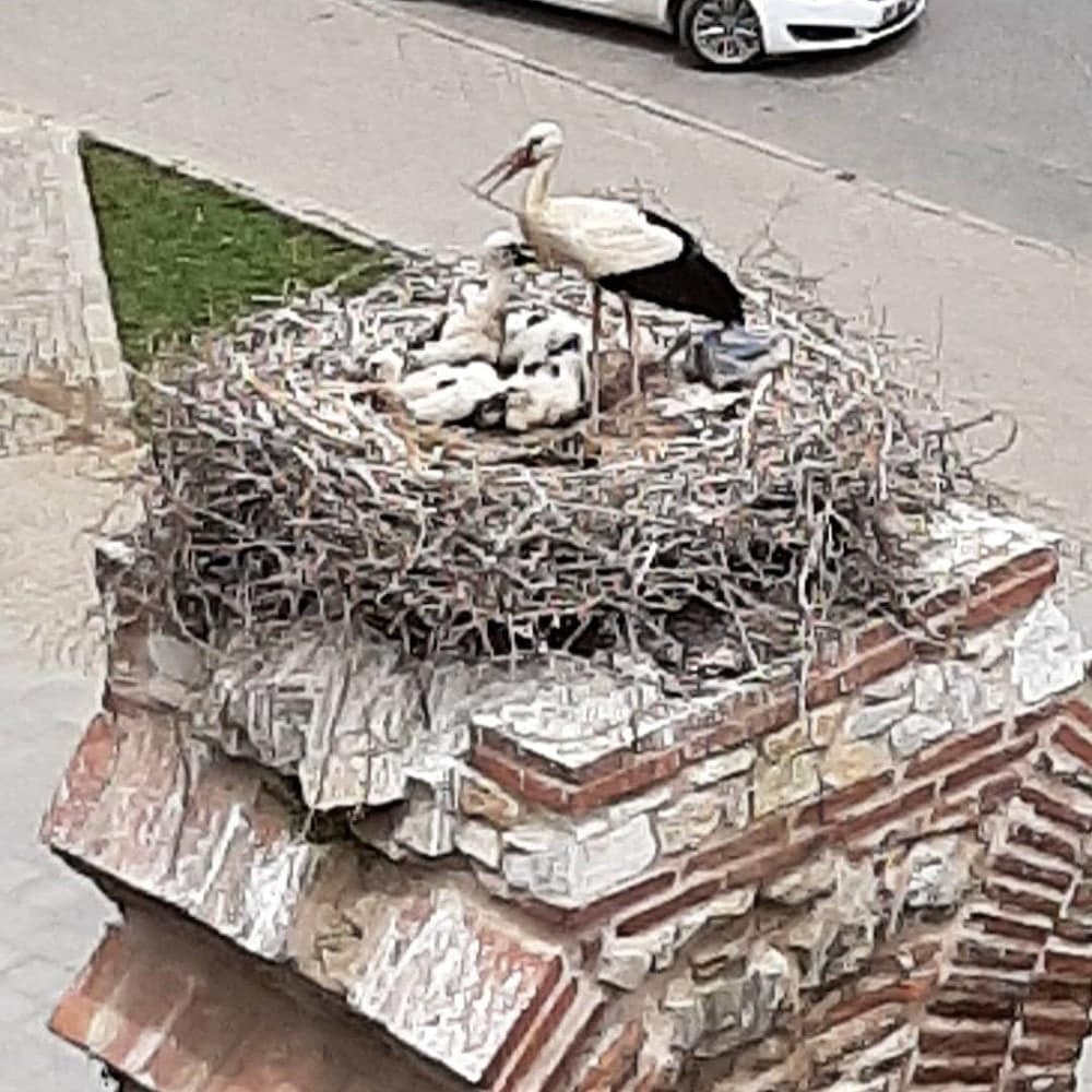 部屋からの景観