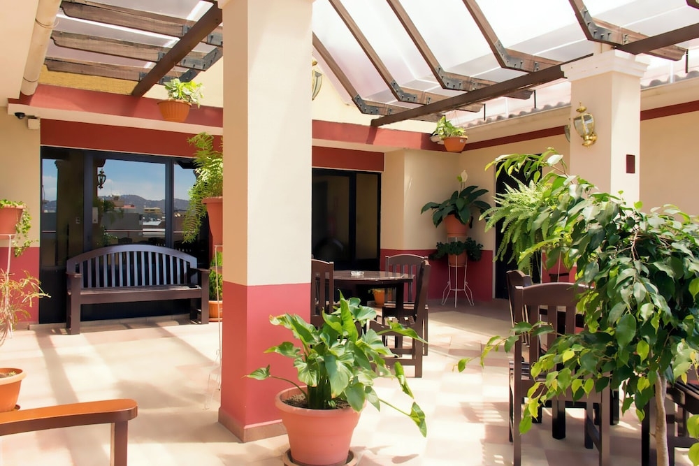 テラス / パティオ