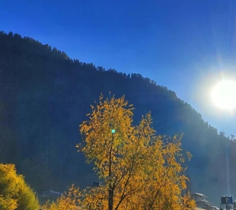 施設からの眺望