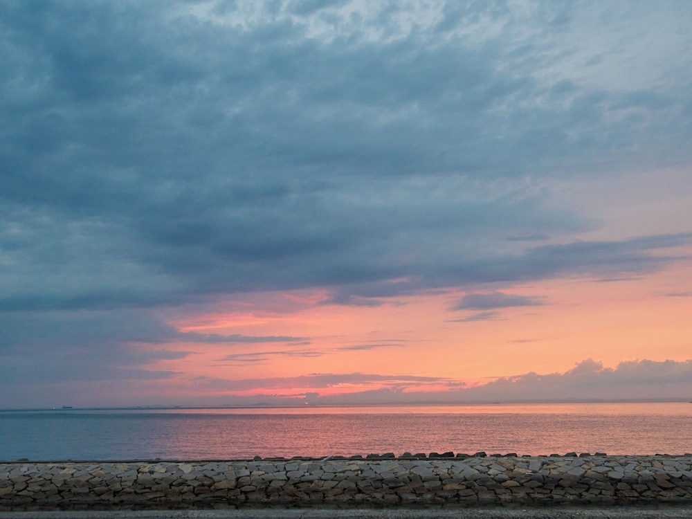 ビーチ / オーシャン ビュー