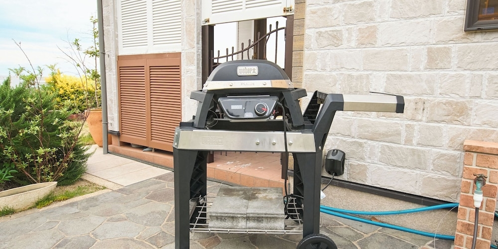 バーベキュー / ピクニック エリア