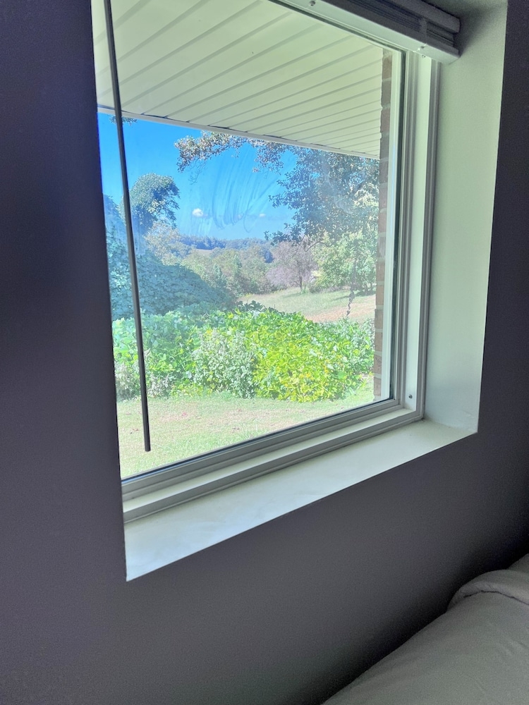 マウンテン ビュー