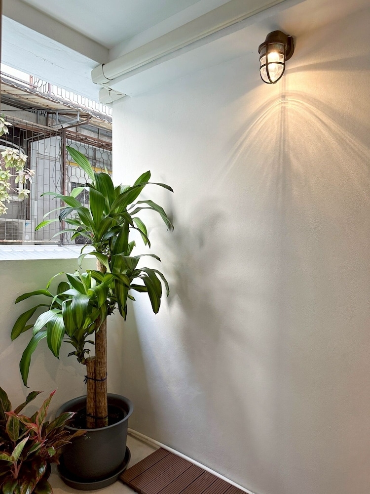 テラス / パティオ