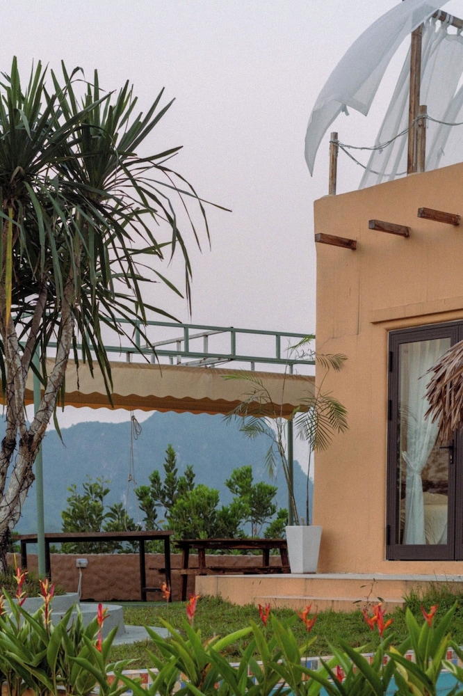 テラス / パティオ