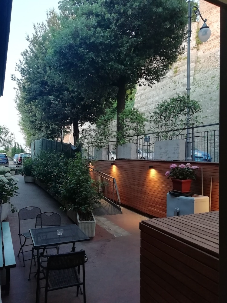 テラス / パティオ