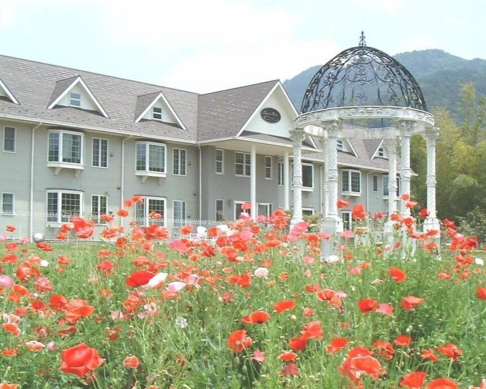 メイン イメージ