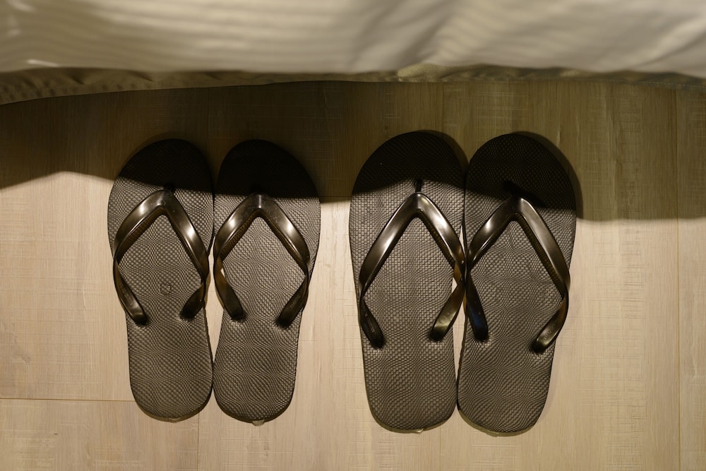 客室の設備とサービス