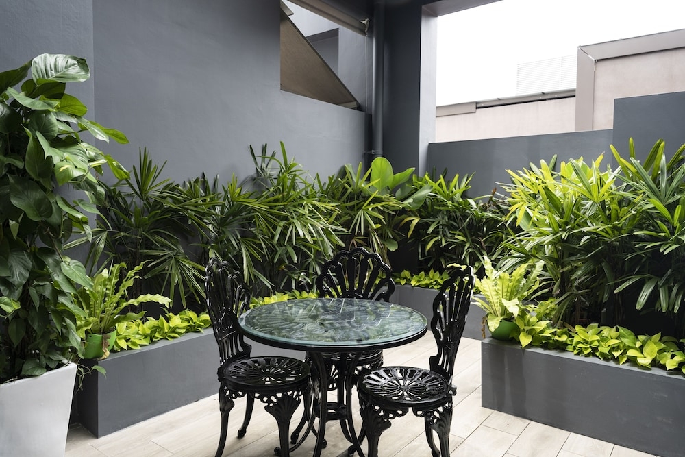 テラス / パティオ