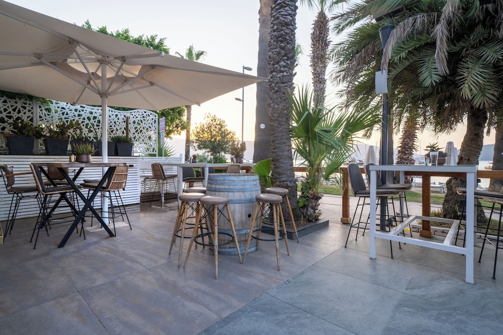 テラス / パティオ