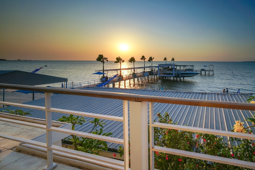 ビーチ / オーシャン ビュー