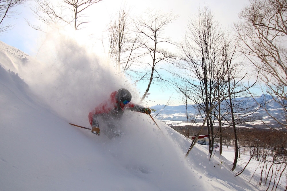 スノー スポーツとスキー