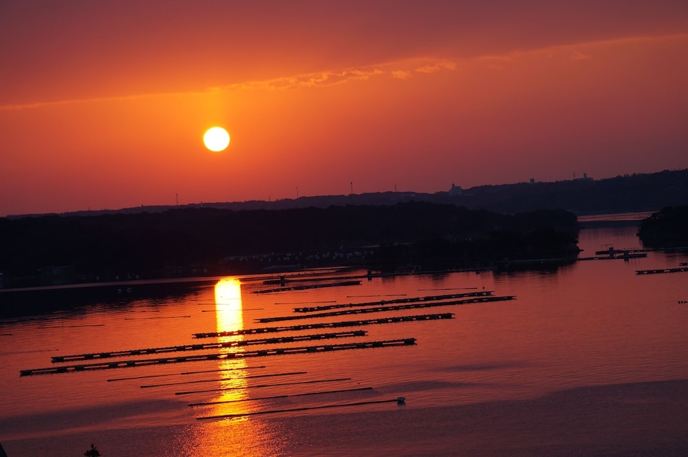 部屋からの景観