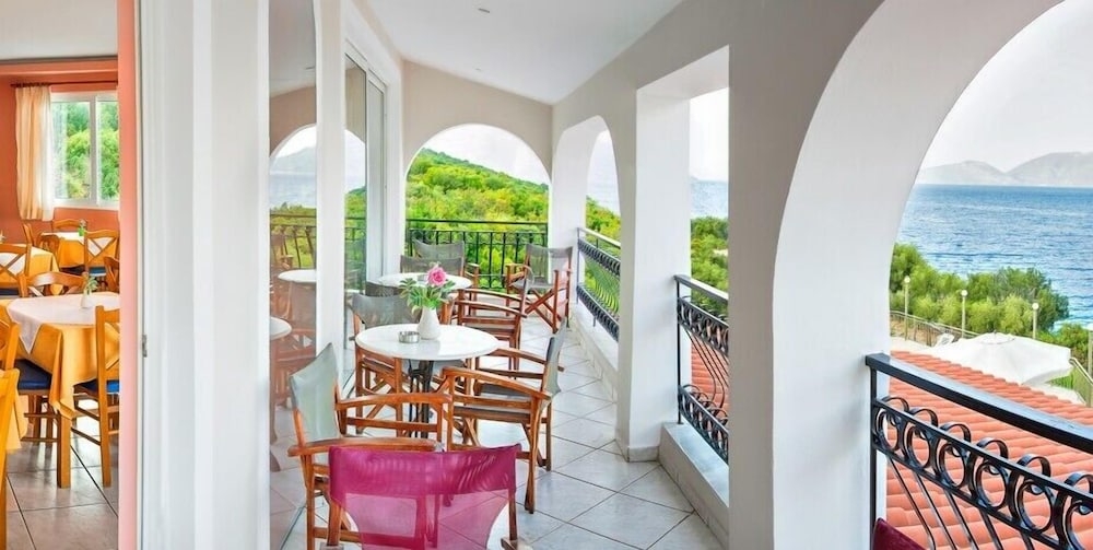 テラス / パティオ