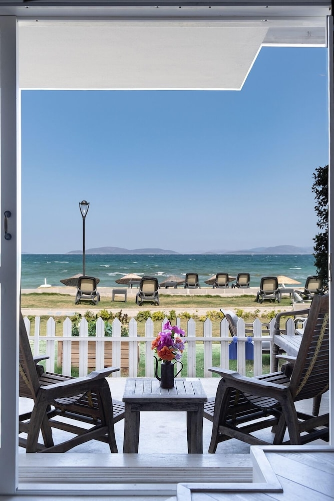 メイン イメージ