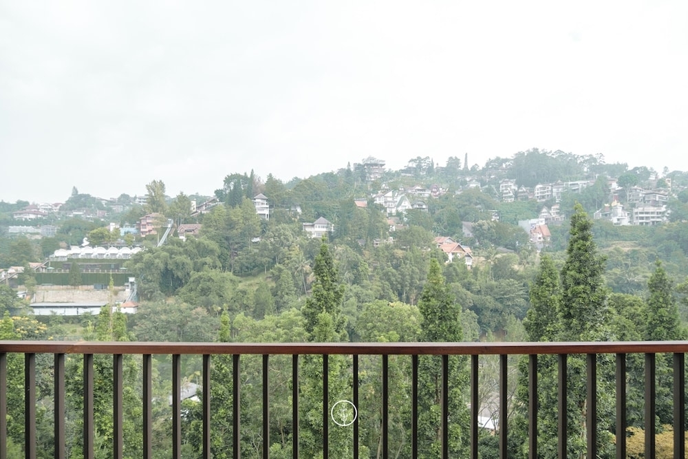 部屋からの景観