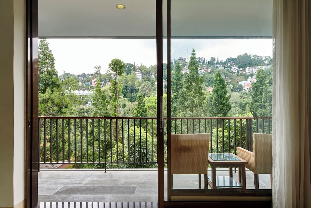 施設からの眺望