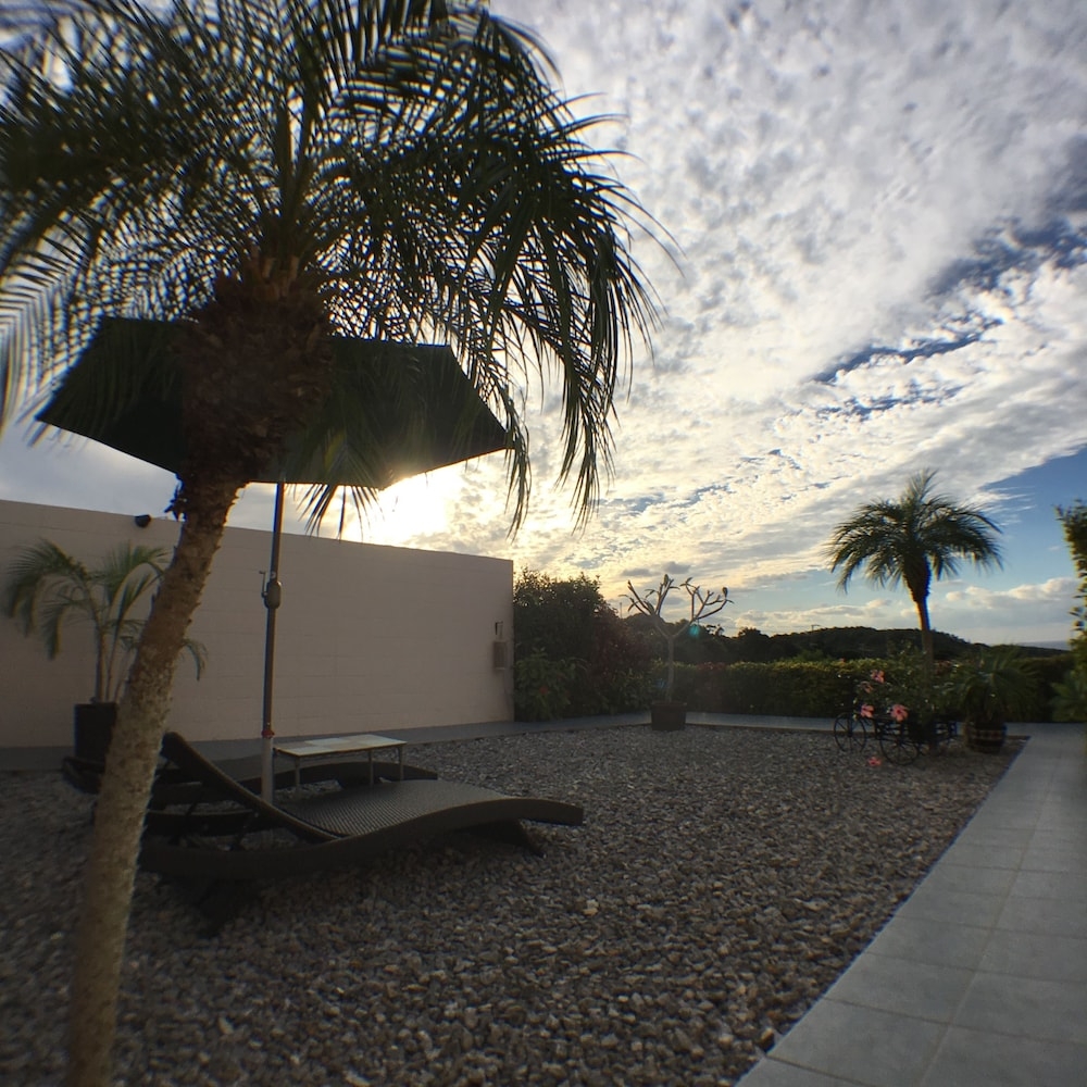 テラス / パティオ