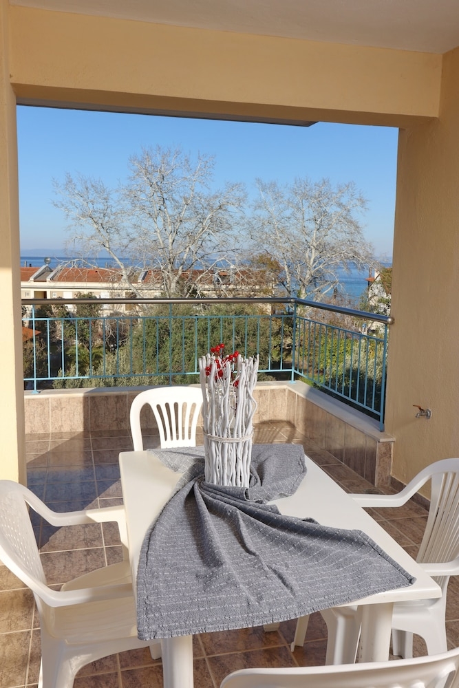 テラス / パティオ