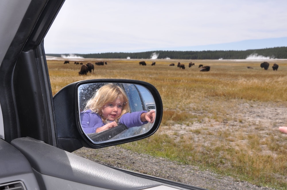 マウンテン ビュー