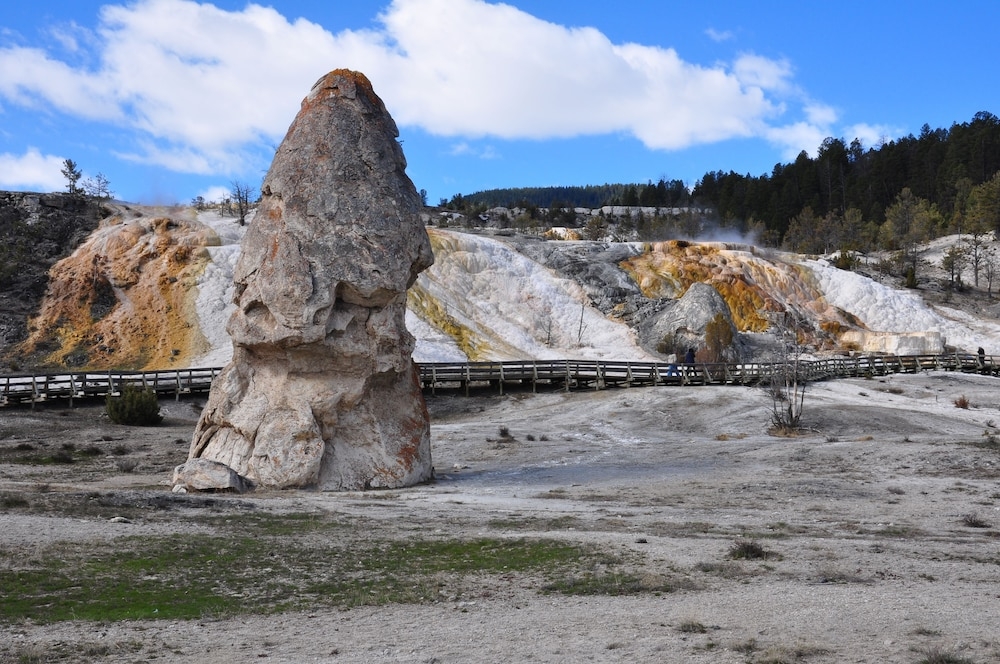 マウンテン ビュー