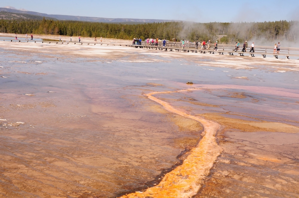マウンテン ビュー
