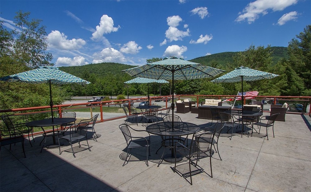 テラス / パティオ