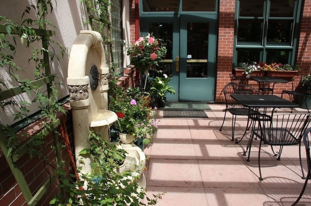 テラス / パティオ