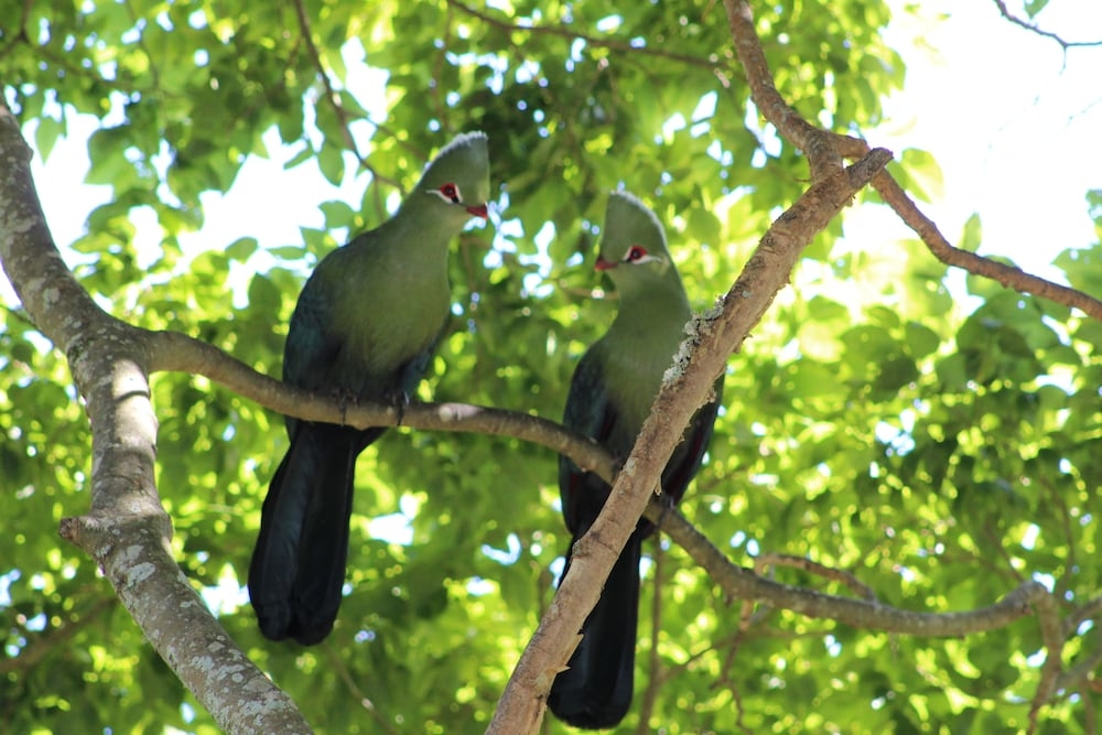 内部エントランス