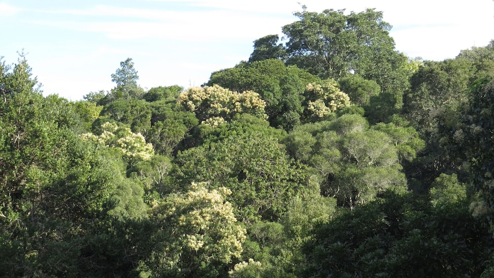 部屋からの景観
